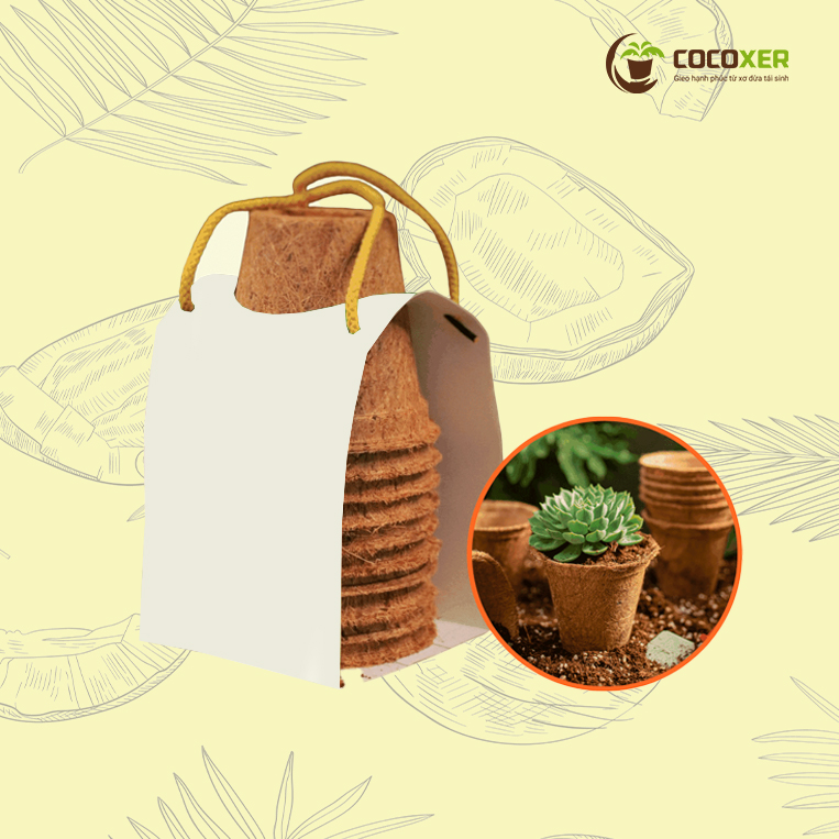 Chậu Xơ Dừa Combo 10 chậu (tặng 1 chậu)